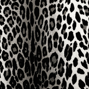Snow Leopard (2)