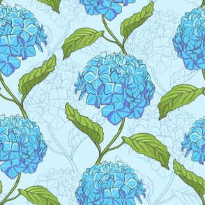 Blue hydrangea flowers