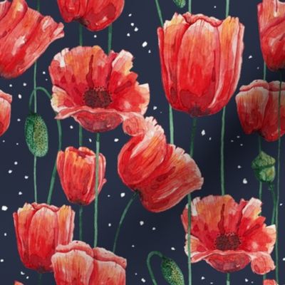 Poppies Garden