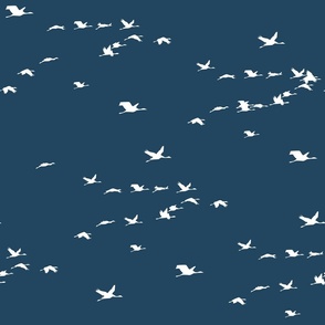 Cranes flying