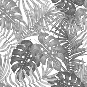 Tropical leaves - gray