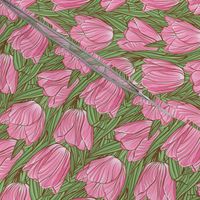 Pink tulips