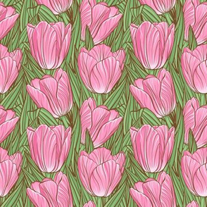 Pink tulips