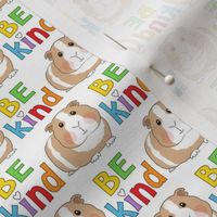 small be kind rainbow guinea pigs