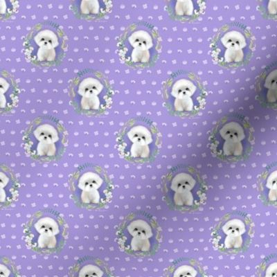 Sugar Maltese purple S