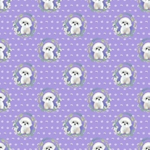 Sugar Maltese purple S