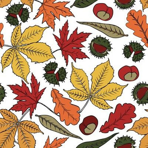 Colorful autumn leaf seamless pattern print background