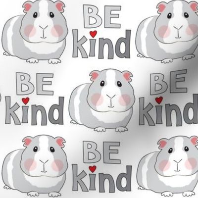 large be kind grey guinea pigs