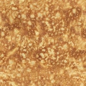 Pizza Crust Bottom Texture Small Scale