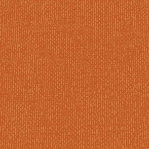 Burnt Orange and Grey Texture 1