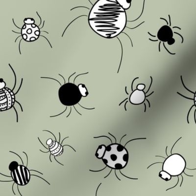 spiders_bw_seaml_stock