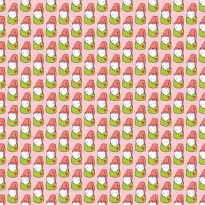 Pink and Green Gnomes