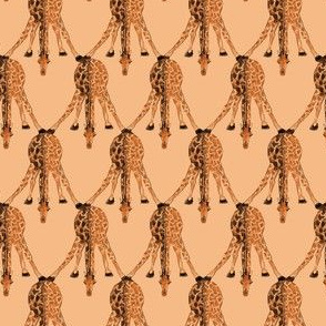 Giraffes - Peach