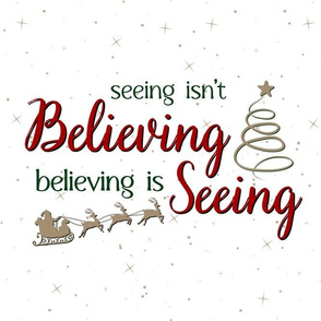 Believing is Seeing - large