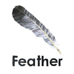 feather - 6" Panel