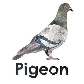 pigeon  - 6" Panel