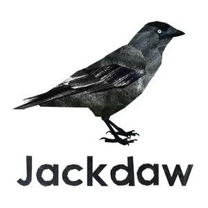 jackdaw  - 6" Panel