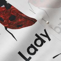 ladybird - 6" Panel