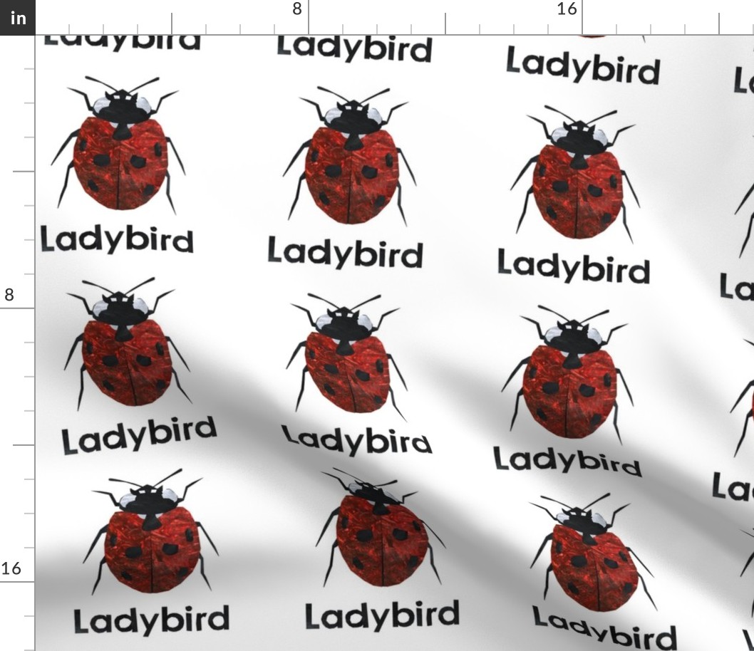 ladybird - 6" Panel