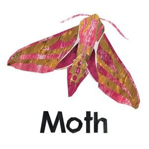 moth  - 6" Panel