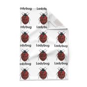 ladybug  - 6" Panel