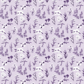 Wildflower collection - lavender