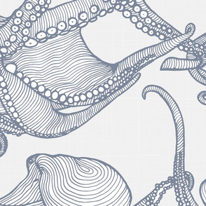 Cephalopod - Giant Octopi - Blue Grey on White