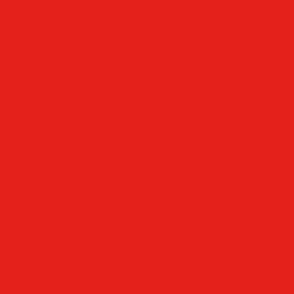 Solid Vivid Red Color - From the Official Spoonflower Colormap