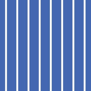 Blue with narrow white stripe (small)