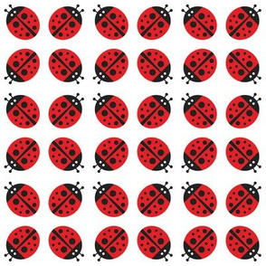 Ladybugs