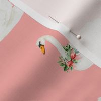 Winter Swan Pink