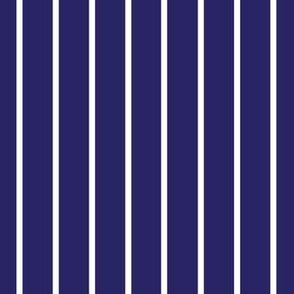 Navy blue with narrow white stripe (small)