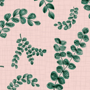 eucalyptus on pink - large