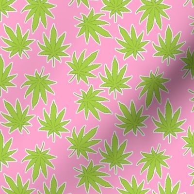 Cannabis on Pink