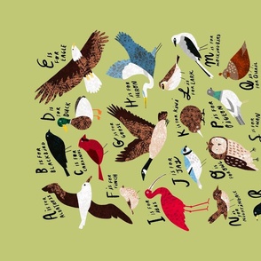 An Alphabet of Birds 18x27" Fat Quarter Tea Towel 