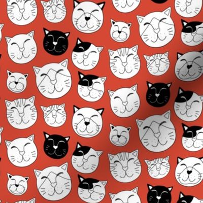 Kitty faces on red