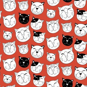Kitty faces on red