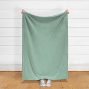 Solid Color Coordinate | Soft Green #A1C2B0