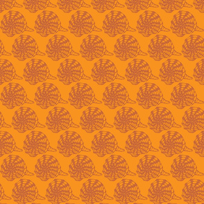 Conch - orange - small