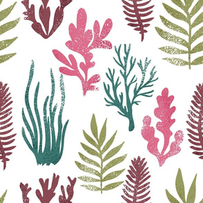 Sea plants