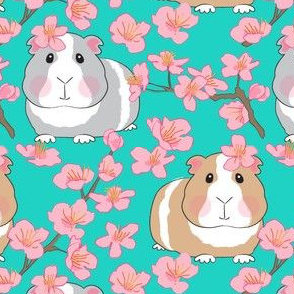 large guinea pigs and cherry blossoms on teal