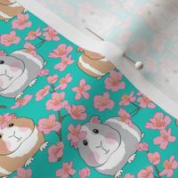 small guinea pigs and cherry blossoms on teal