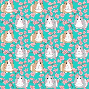 small guinea pigs and cherry blossoms on teal