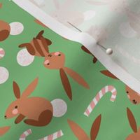 Bunnies and Candy Canes on Grassy Green