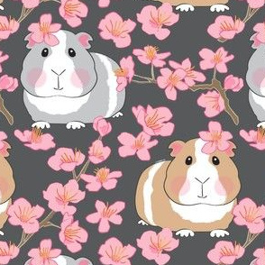 large guinea pigs and cherry blossoms on dark charcoal
