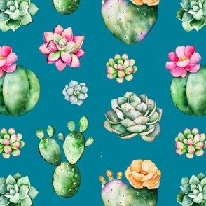 succulents on teal