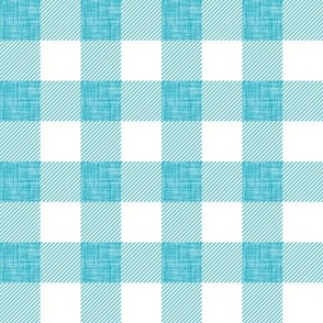 1" aquamarine linen buffalo check