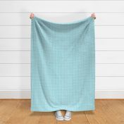 1/2" aquamarine linen buffalo check