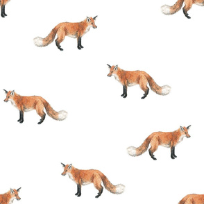 Fox Forest - Medium Scattered Foxes on White