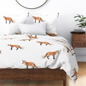Fox Forest - Large Scattered Foxes on White